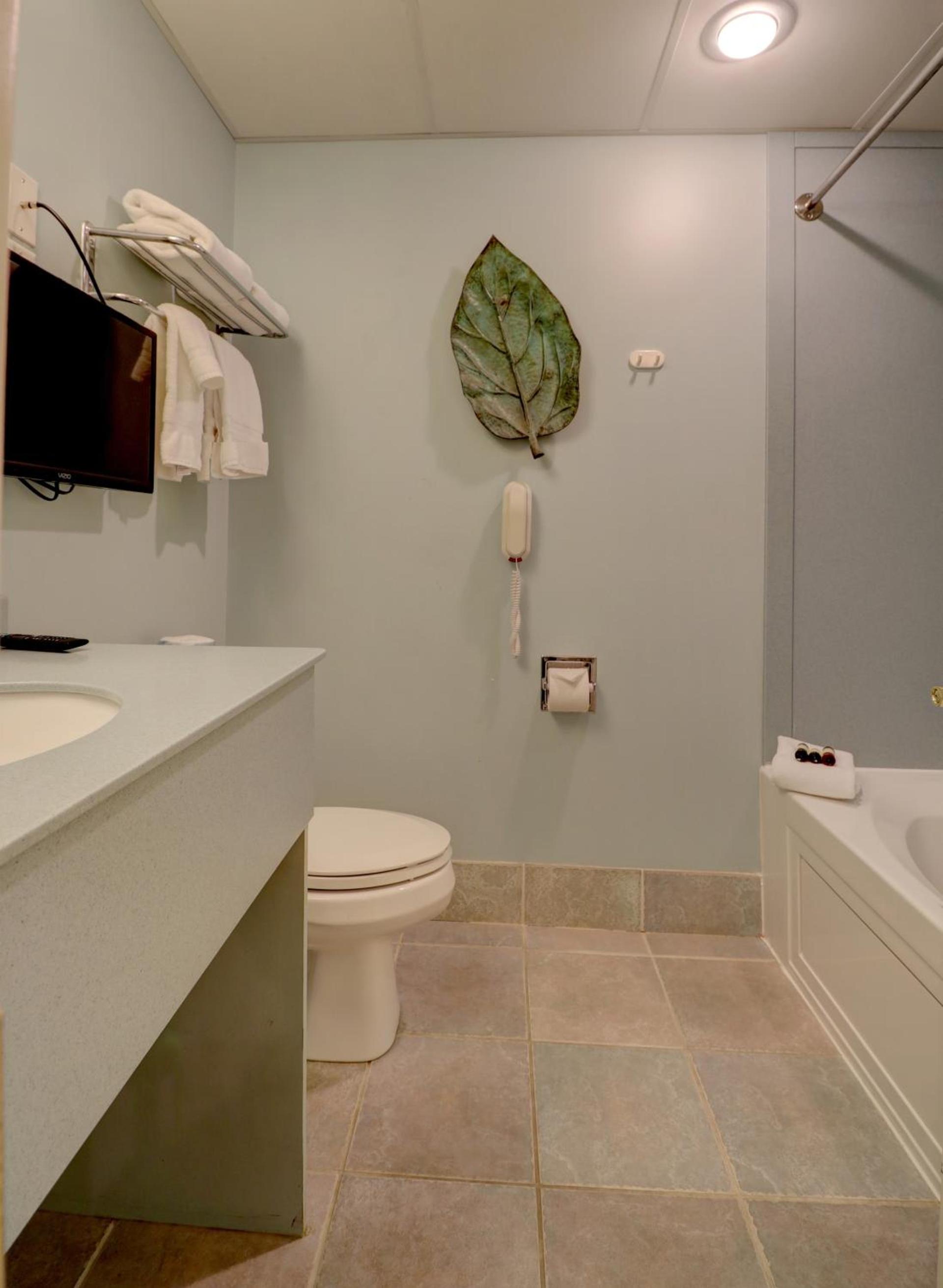 Senator Inn & Spa photo 23