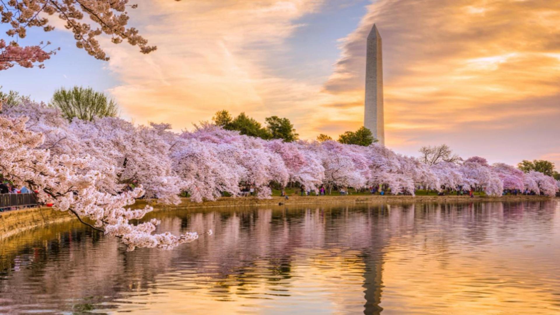 Willard InterContinental Washington by IHG photo 78
