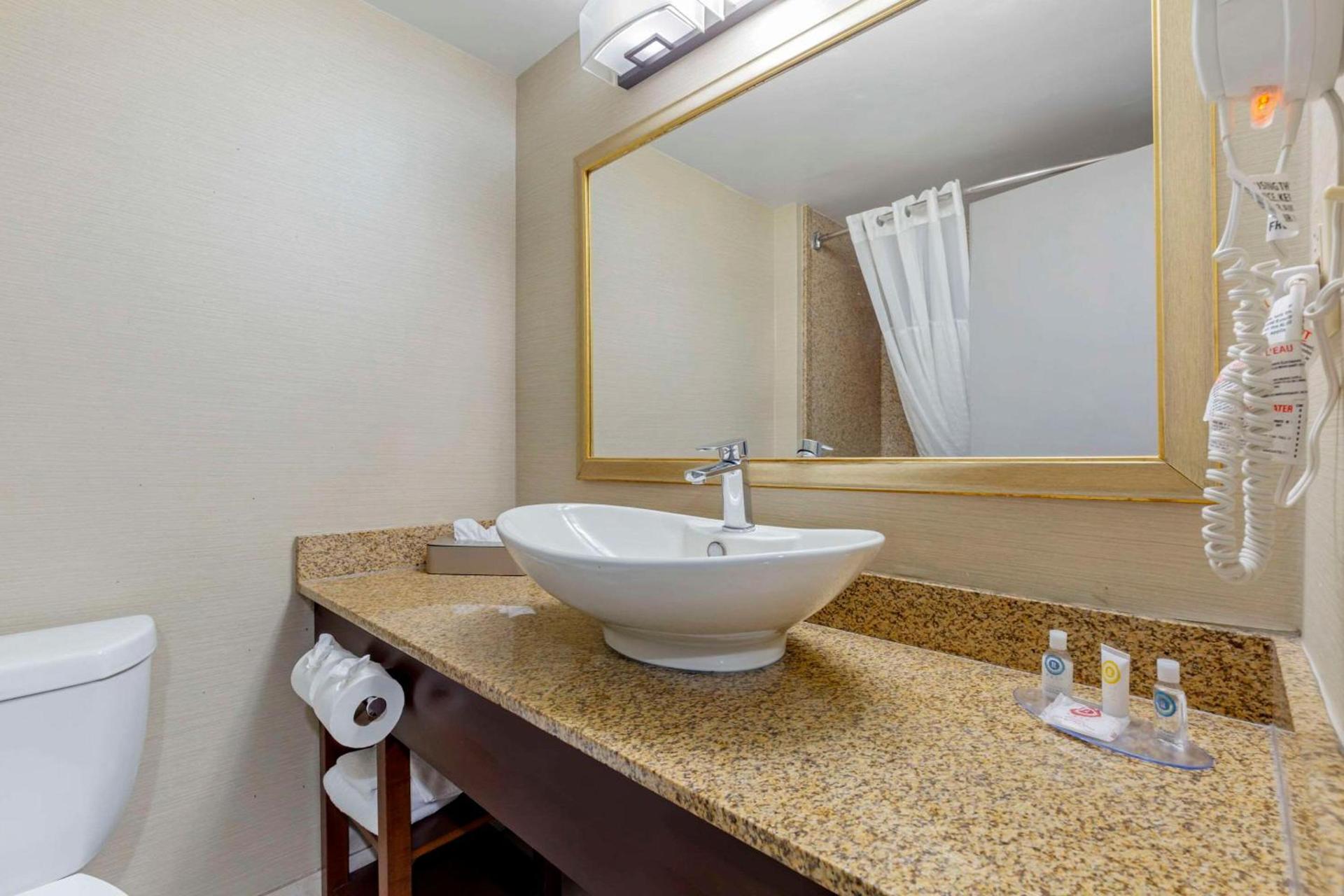 Comfort Inn Herndon-Reston photo 22