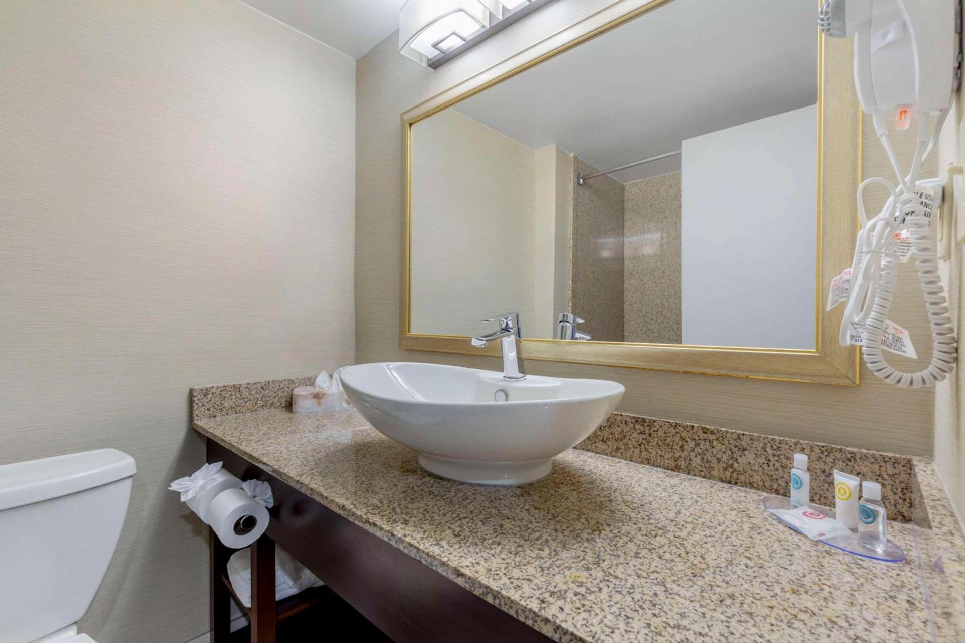Comfort Inn Herndon-Reston photo 23