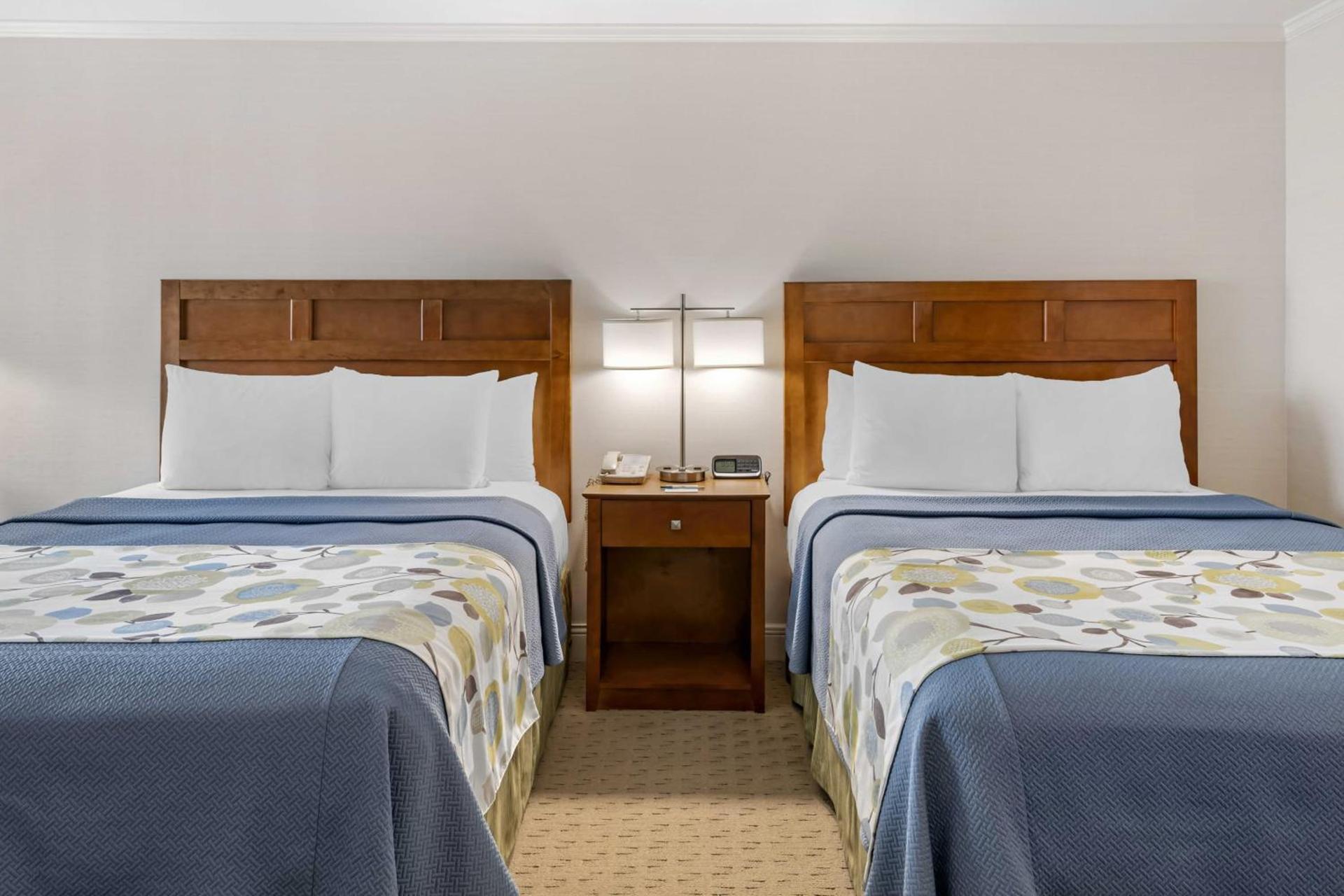 Juniper Hill Inn photo 63