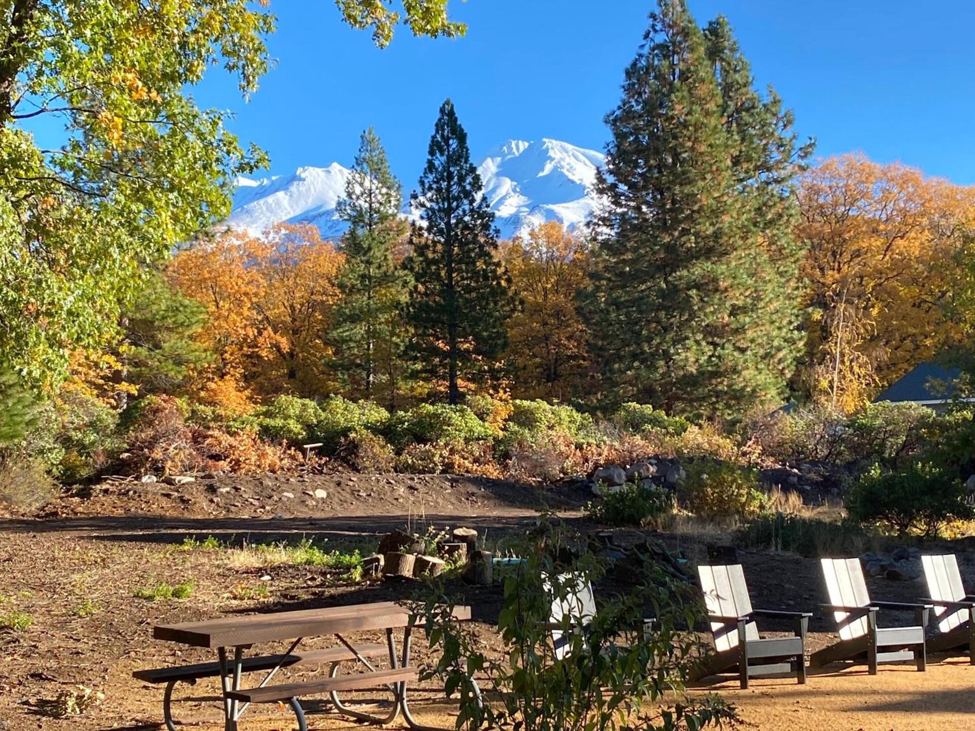 Basecamp Lodge photo 6
