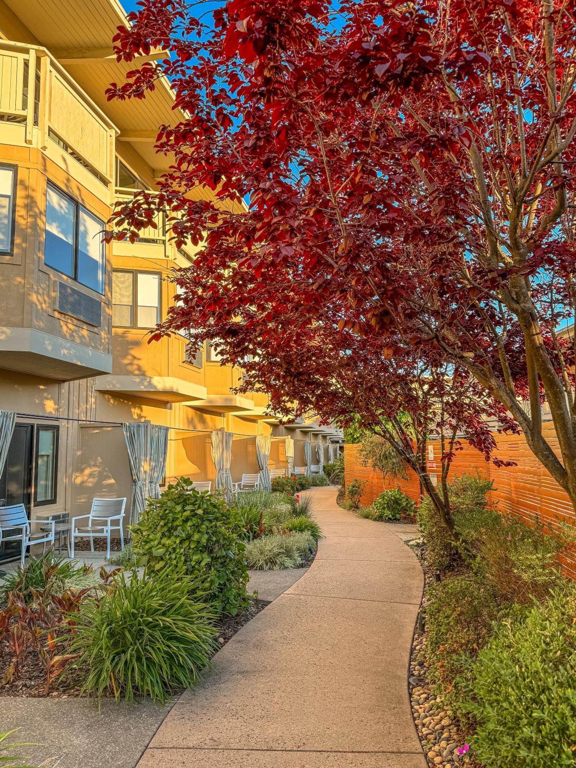 The Lodge at Tiburon photo 51