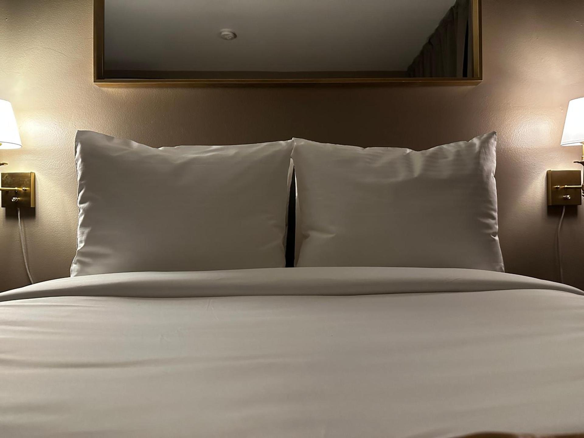 Hotel TB Downtown Miami photo 8