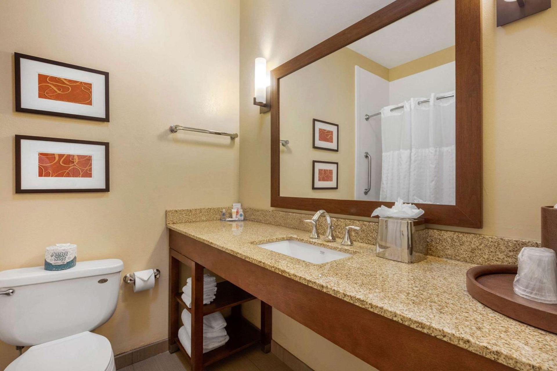Comfort Inn Memphis Downtown photo 15