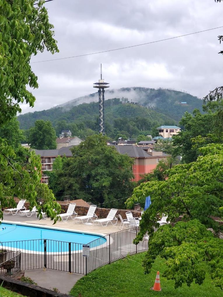 Fabulous Chalet Inn photo 4