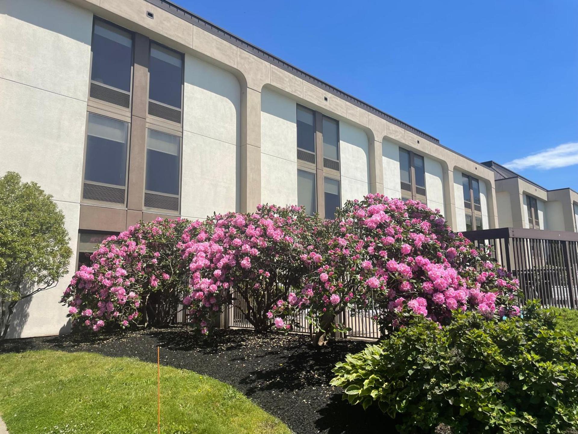 Hampton Inn New Bedford/Fairhaven photo 2