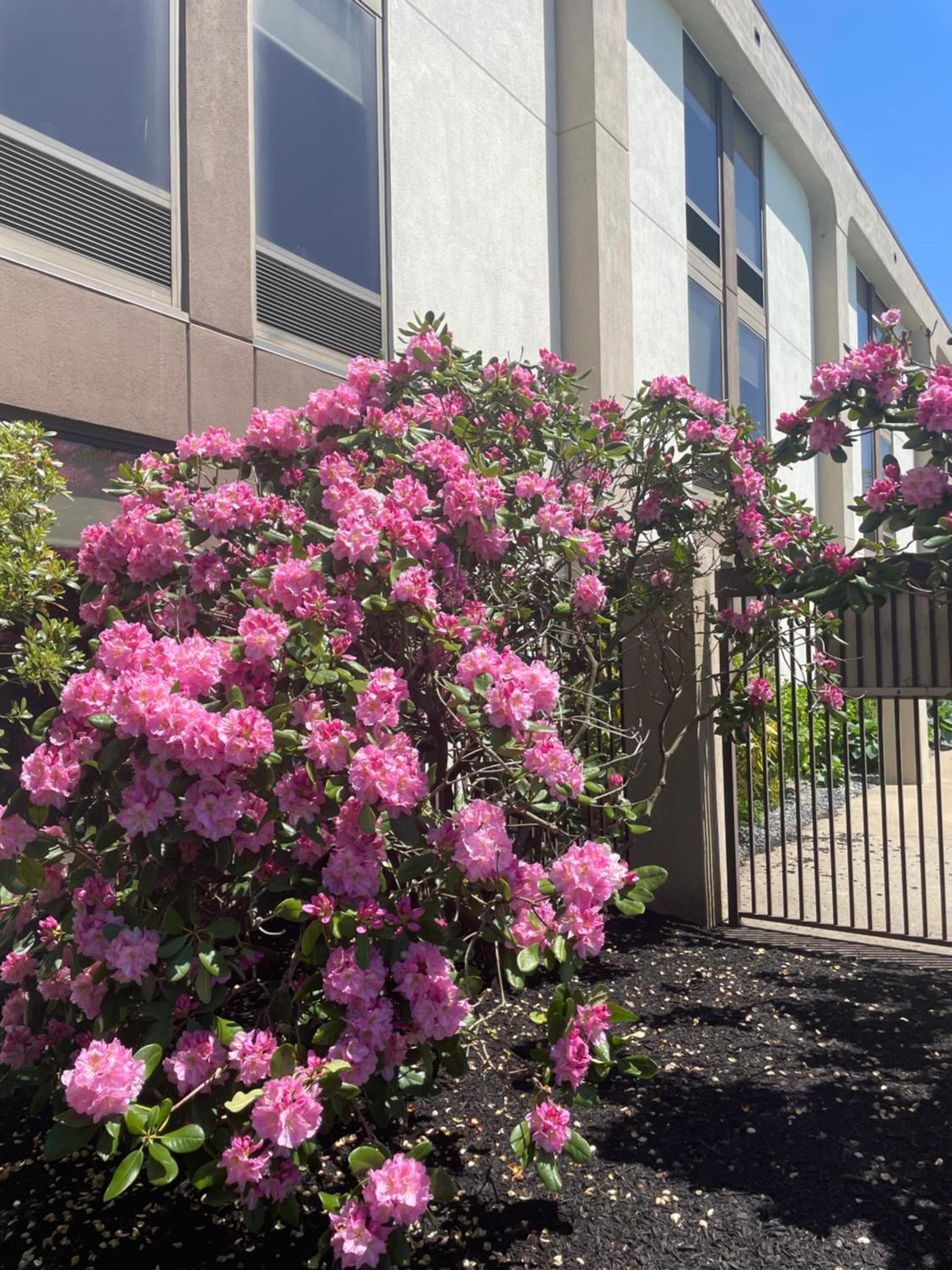 Hampton Inn New Bedford/Fairhaven photo 5