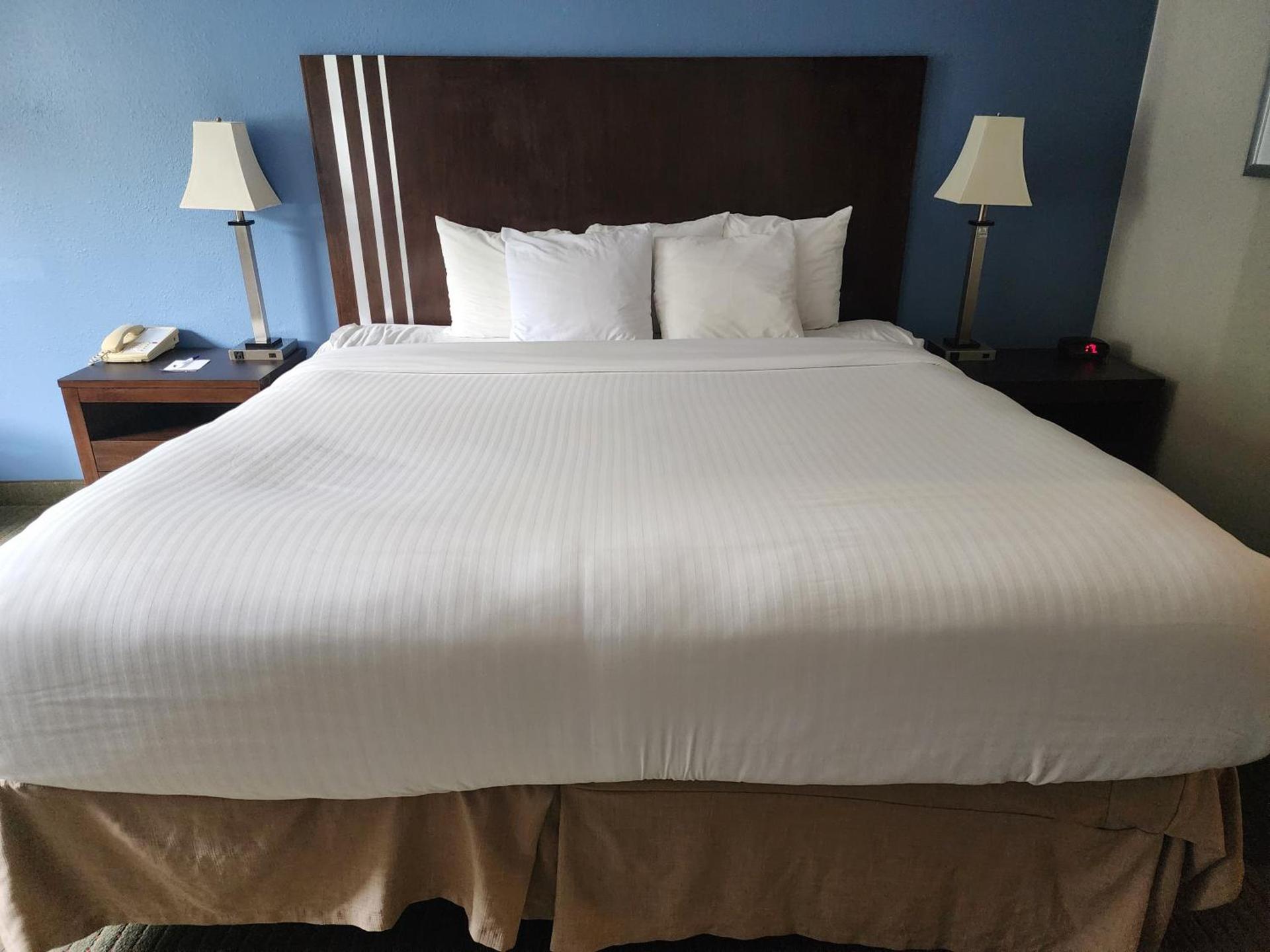 Baymont by Wyndham Freeport photo 37