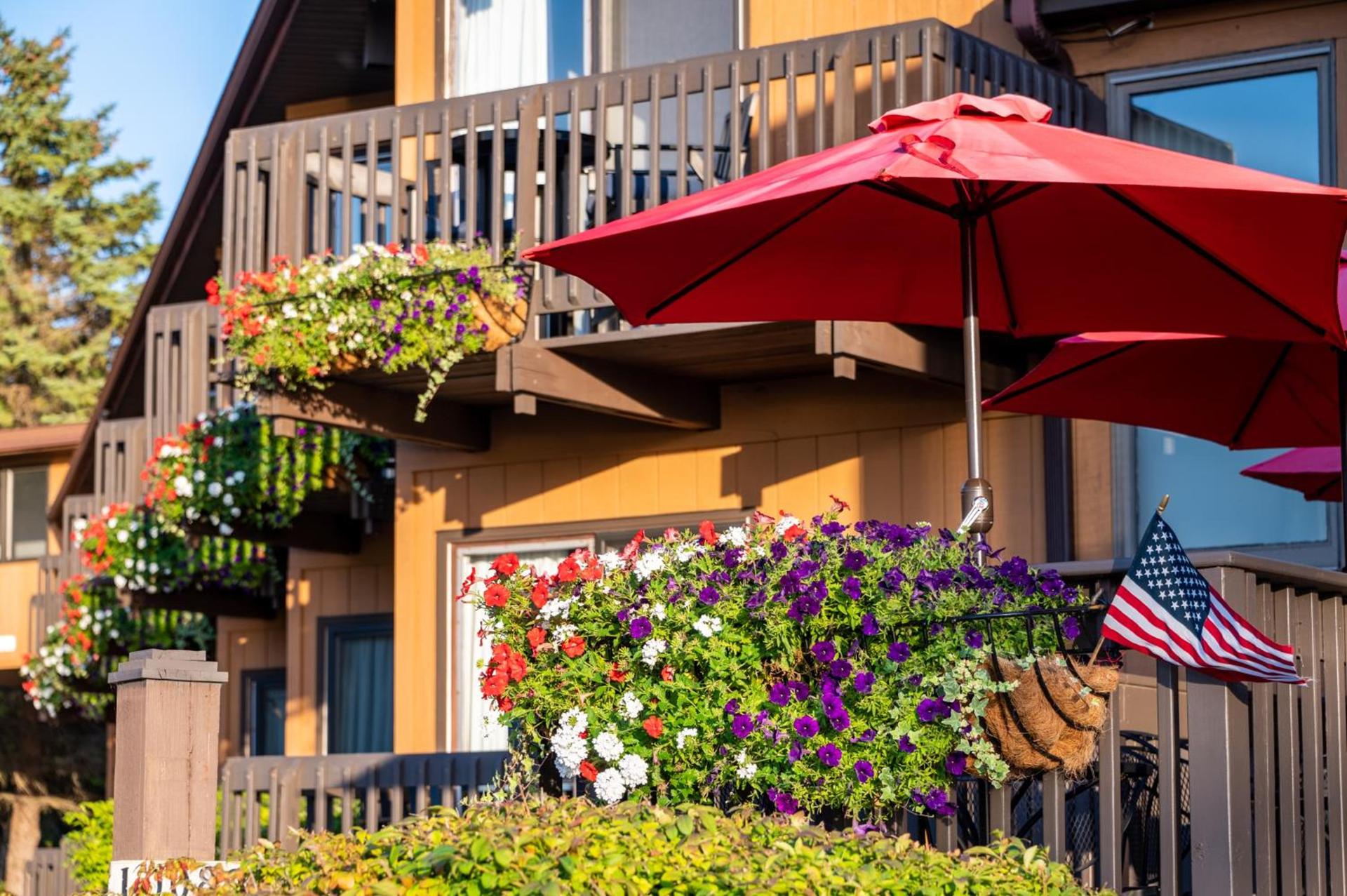 Pine Grove Resort photo 44