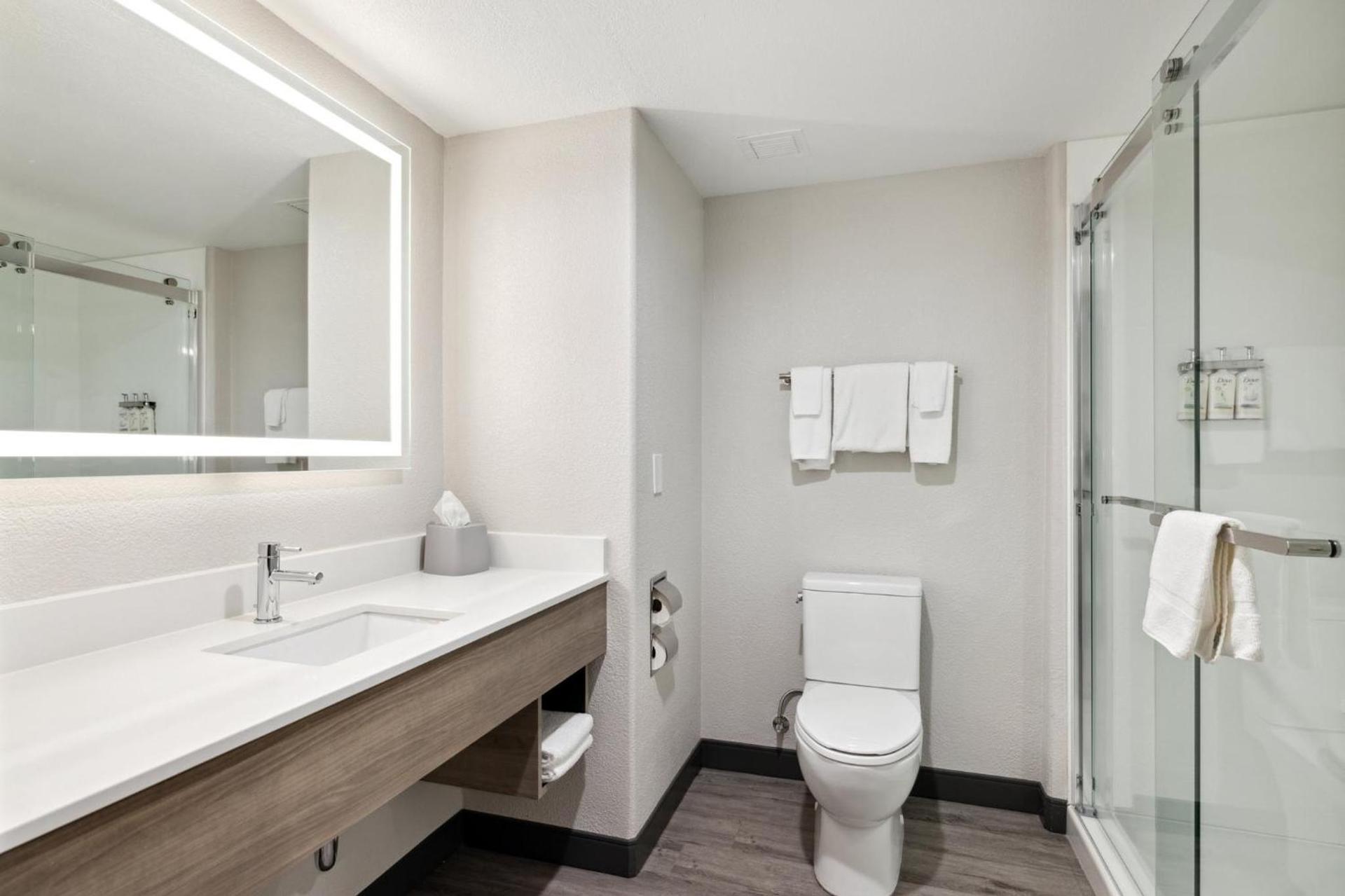 Holiday Inn Express Hotel & Suites Vacaville by IHG photo 52