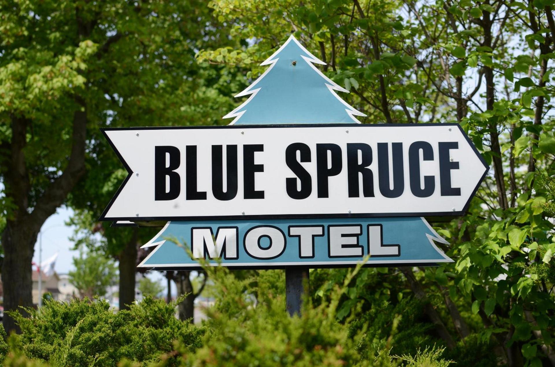 Ludington Blue Spruce Inn photo 11