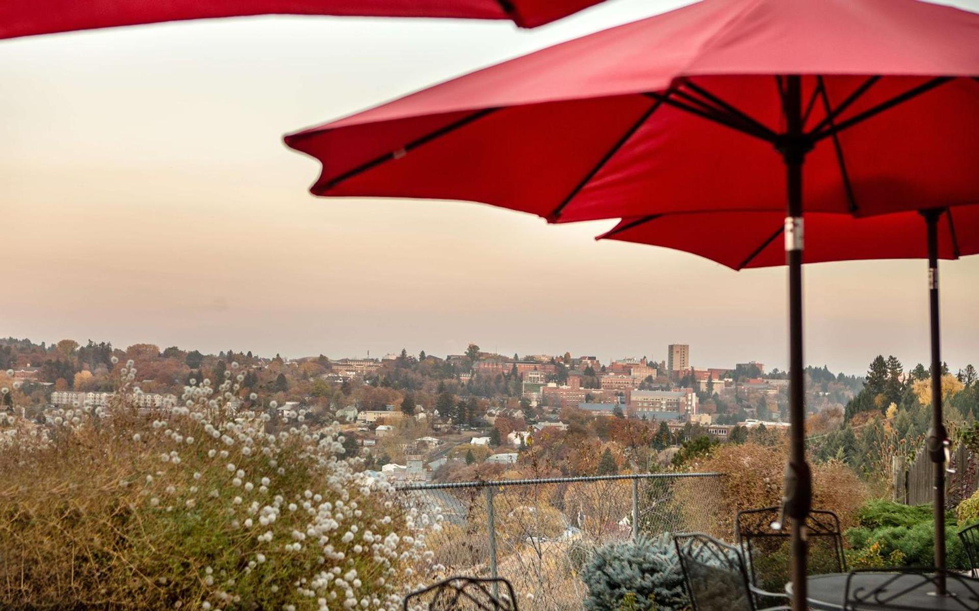Coast Hilltop Inn photo 14