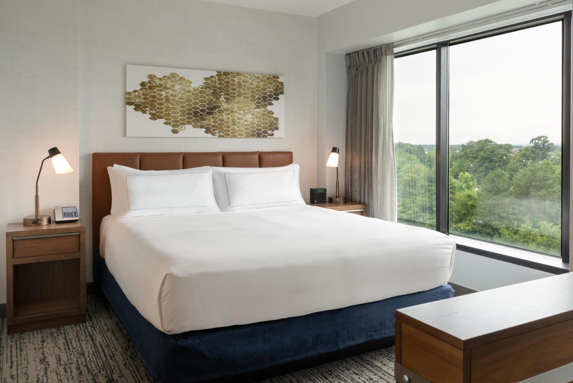 Hilton Fairfax, Va photo 45