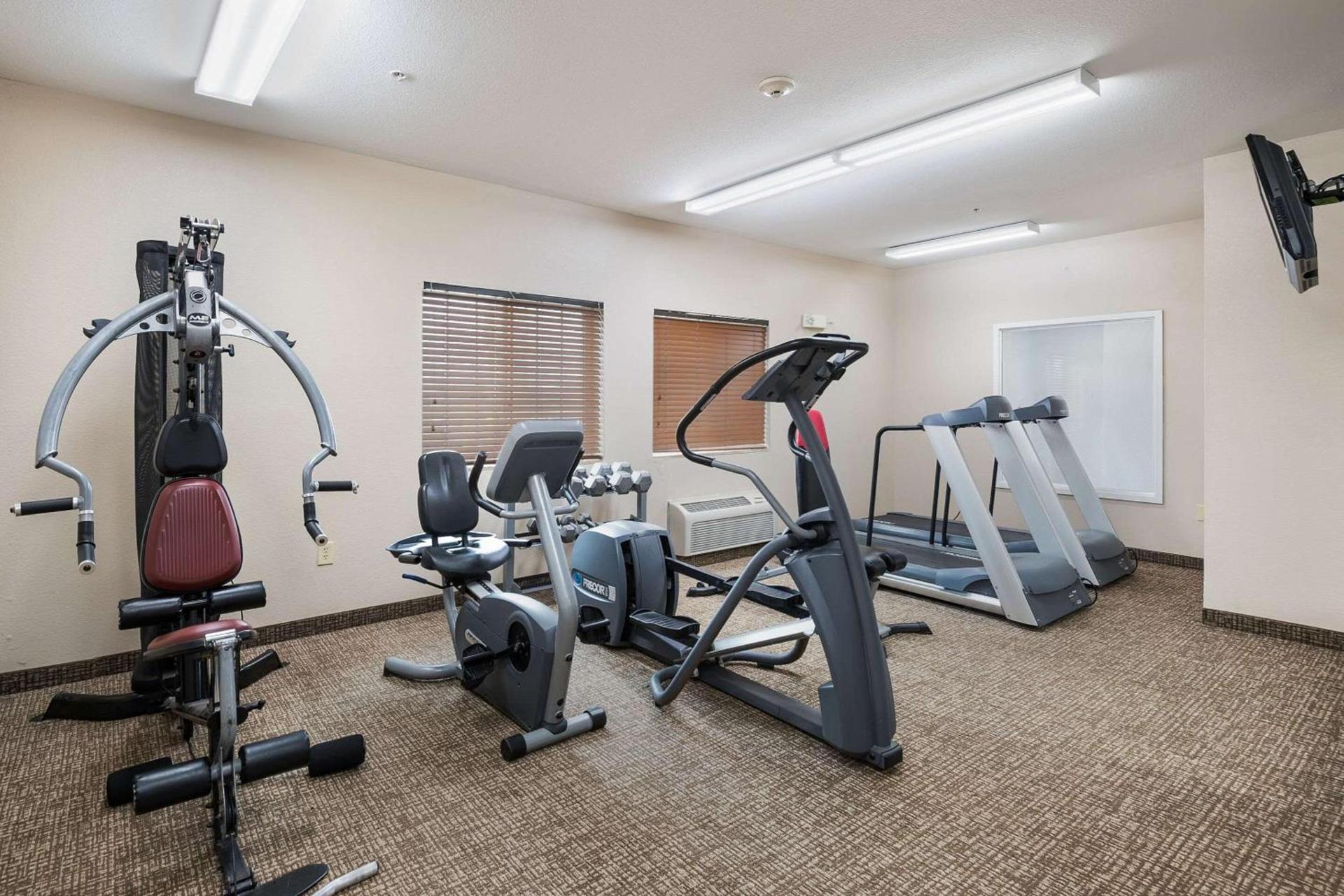Suburban Studios Waterloo photo 36