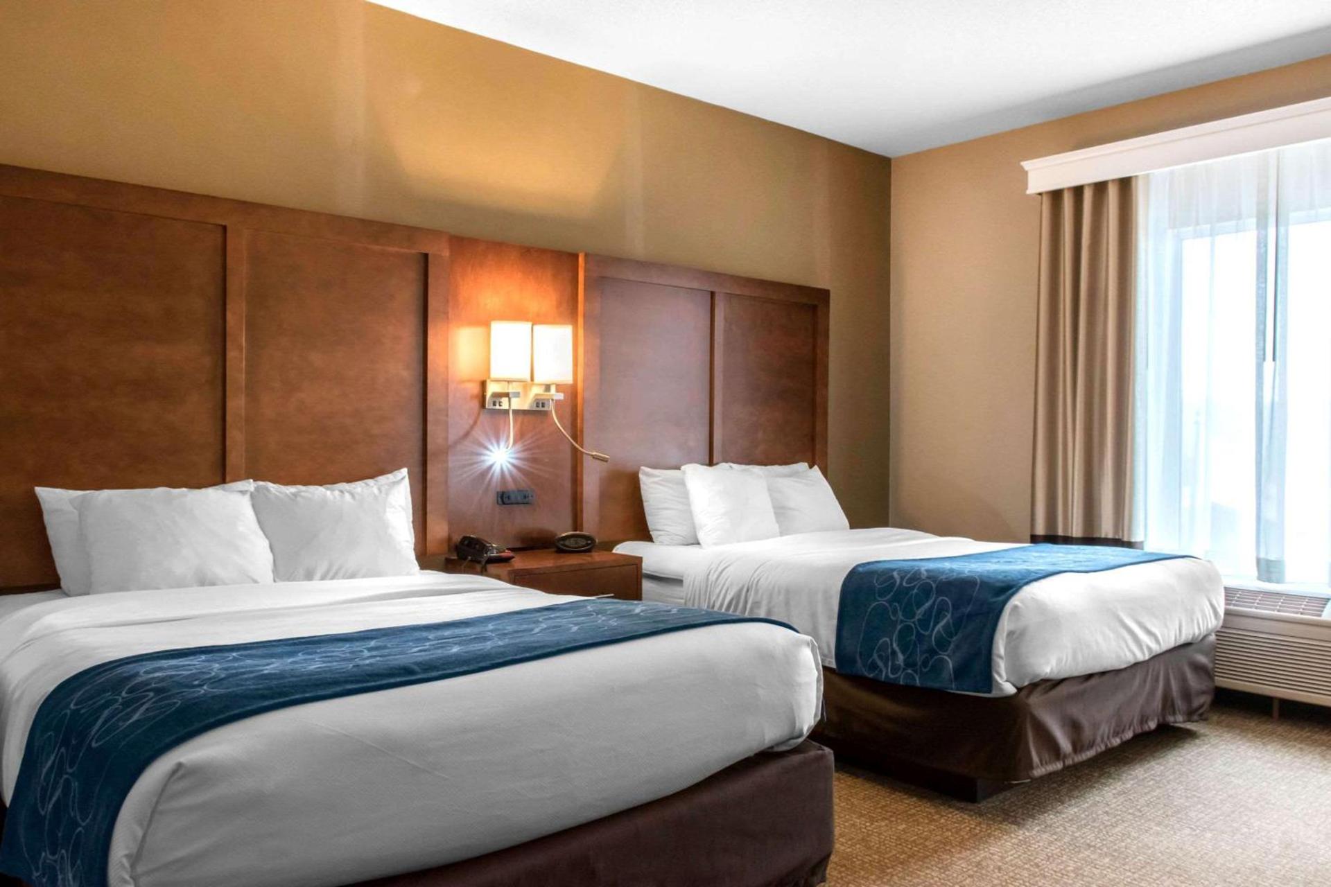Comfort Suites Scranton near Montage Mountain photo 20