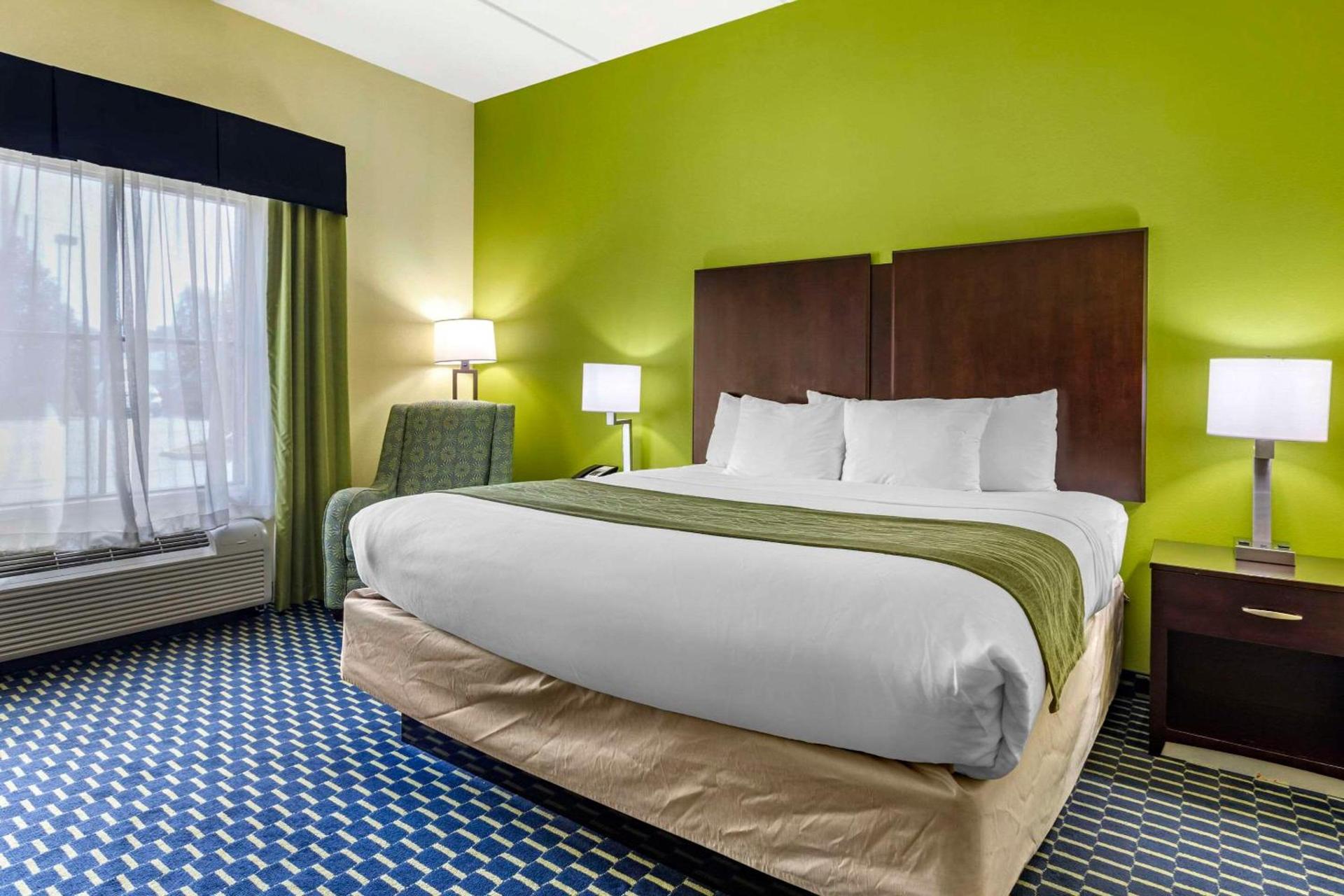 Comfort Inn Athens I - 75 photo 11