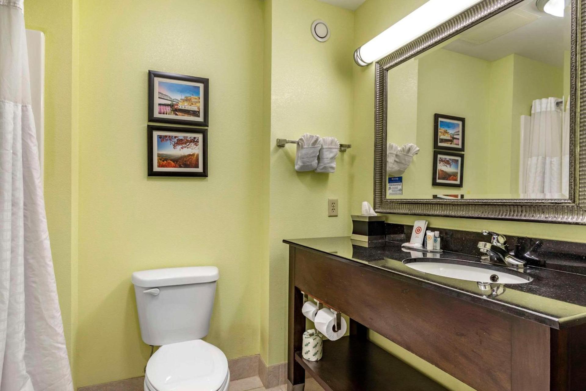 Comfort Inn Athens I - 75 photo 12
