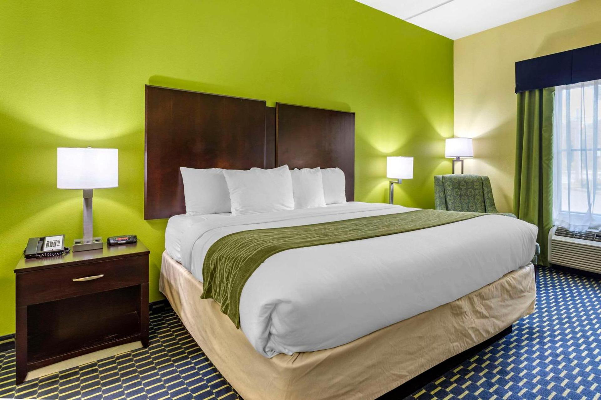 Comfort Inn Athens I - 75 photo 13