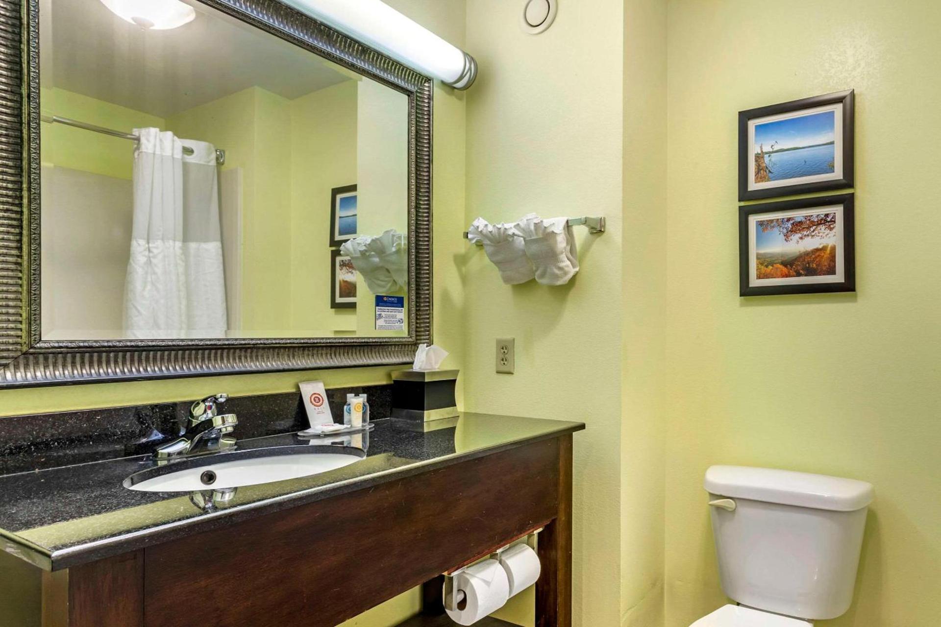 Comfort Inn Athens I - 75 photo 16