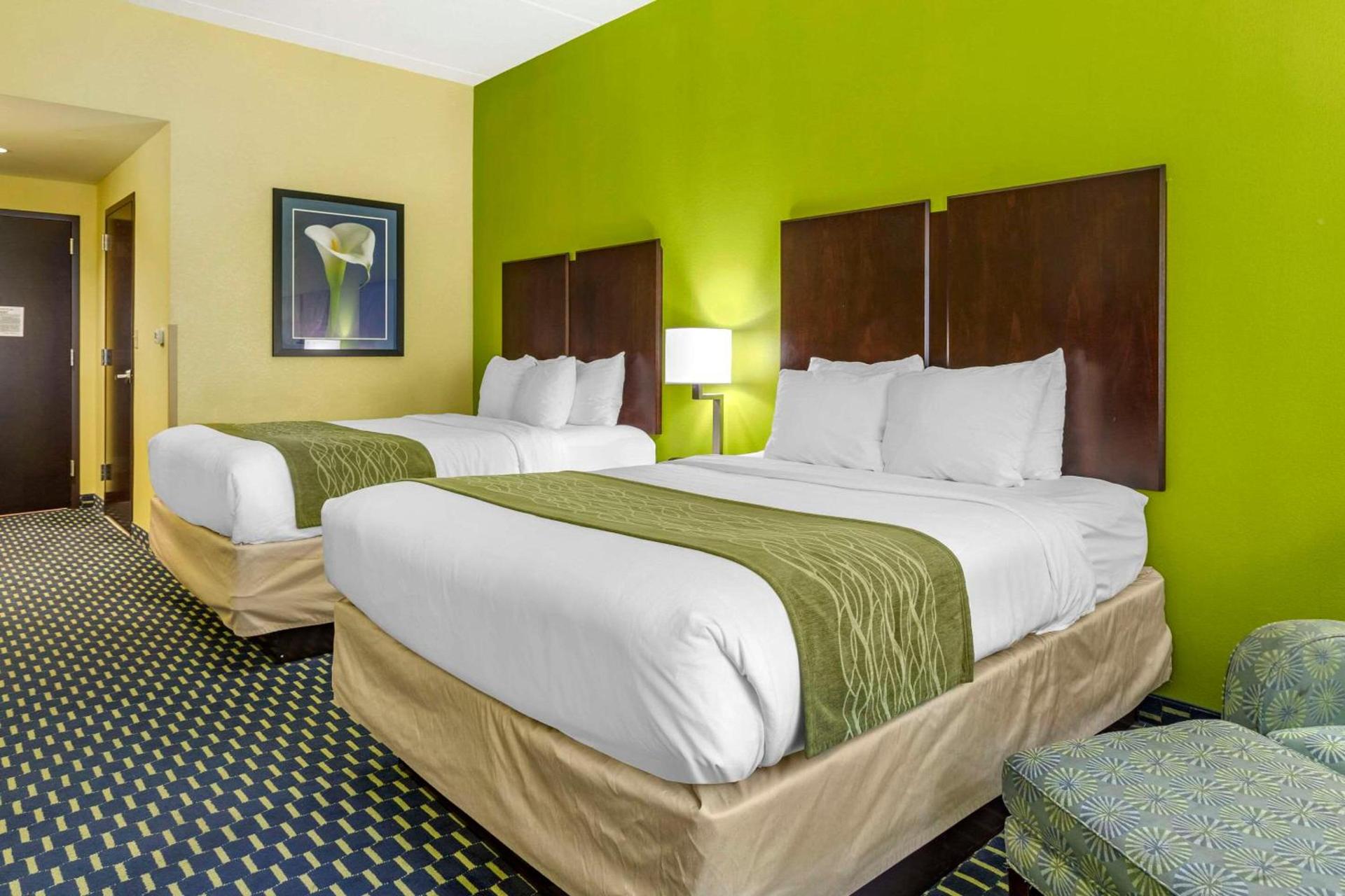 Comfort Inn Athens I - 75 photo 19