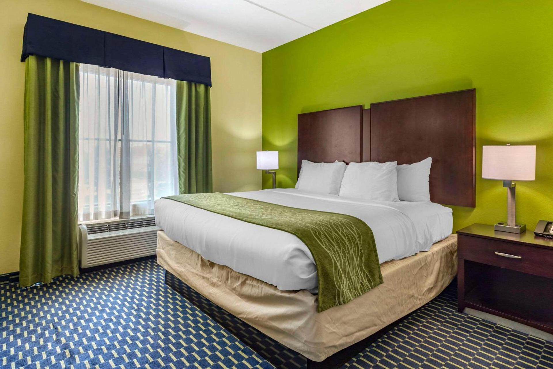 Comfort Inn Athens I - 75 photo 26