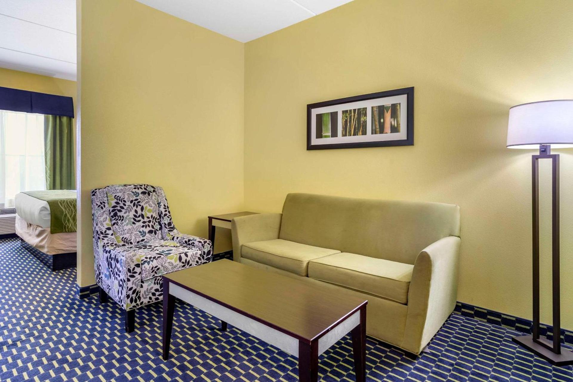 Comfort Inn Athens I - 75 photo 25