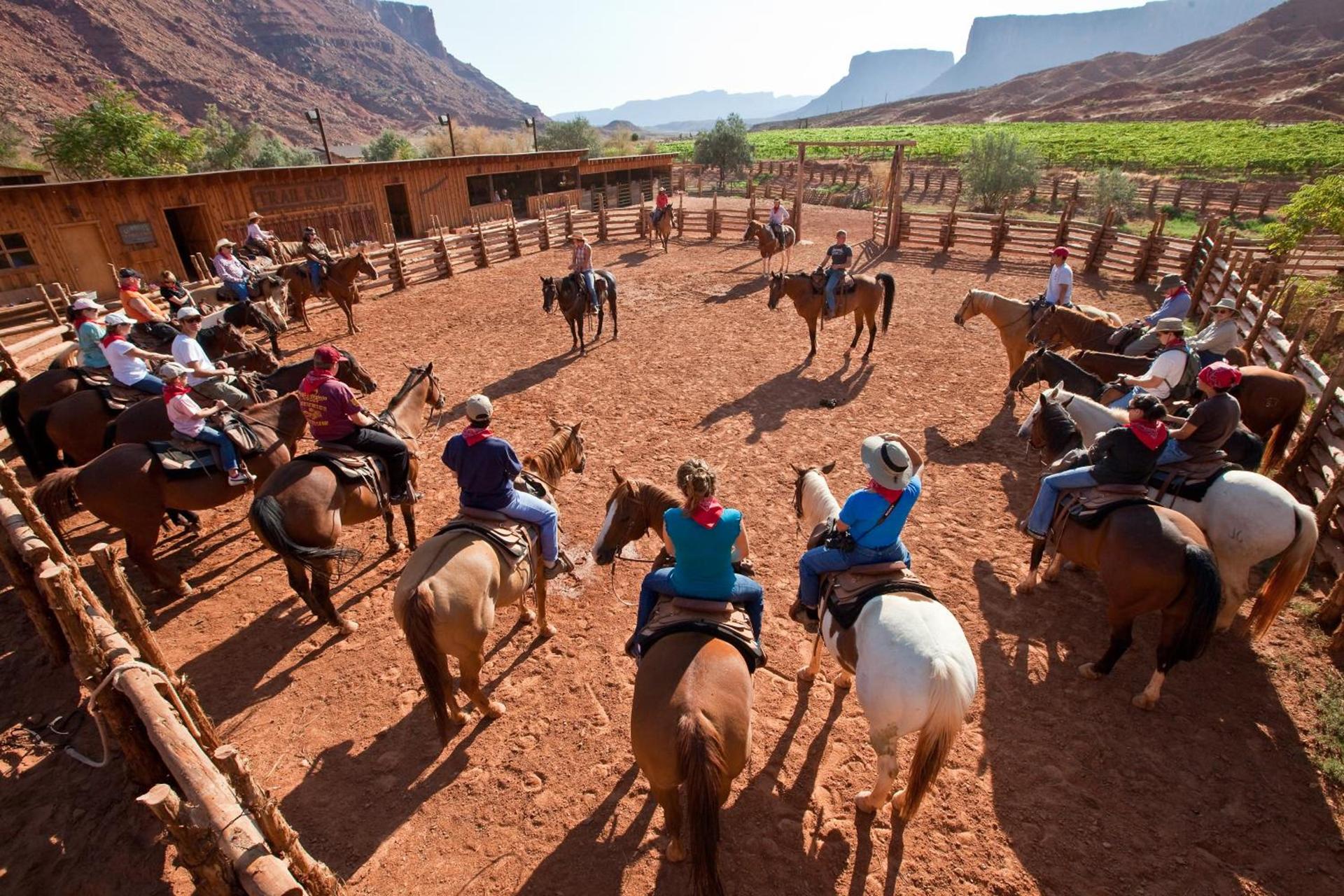 Red Cliffs Lodge Moab photo 12