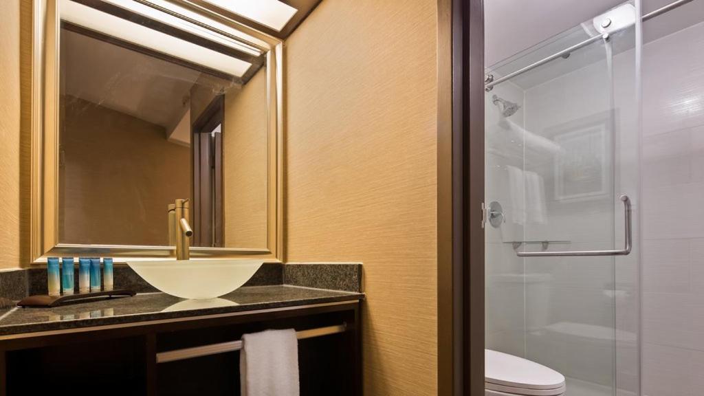Radisson Hotel Southfield-Detroit photo 36