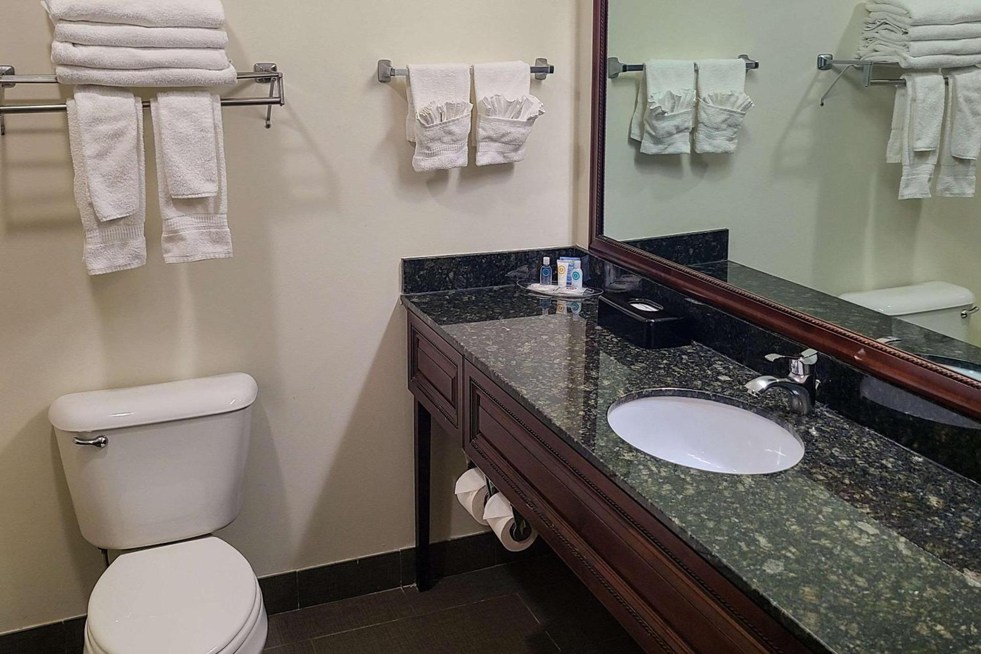 Comfort Suites Madison West - Middleton photo 29