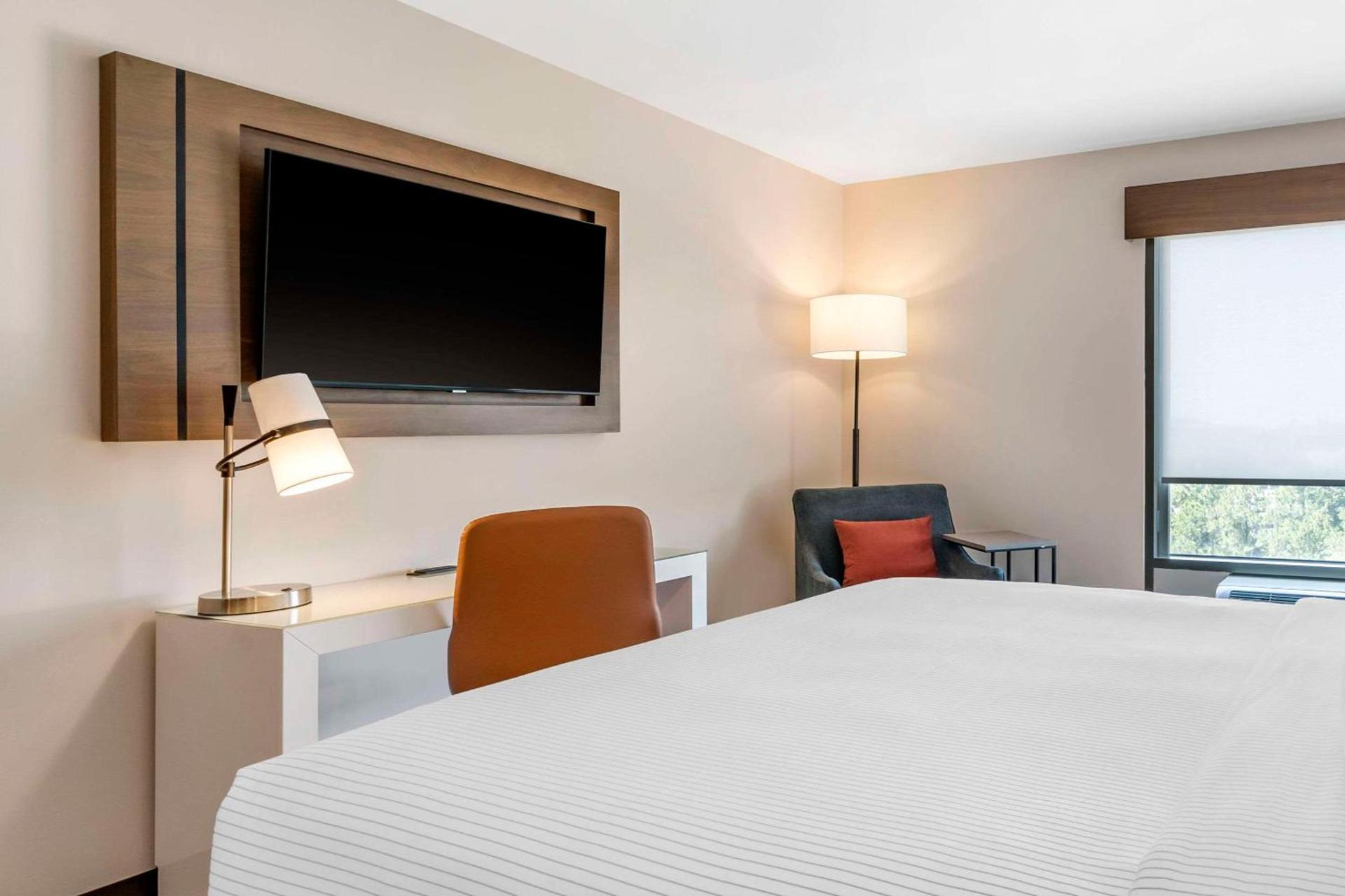 Cambria Hotel Orlando near Universal Theme Parks photo 15