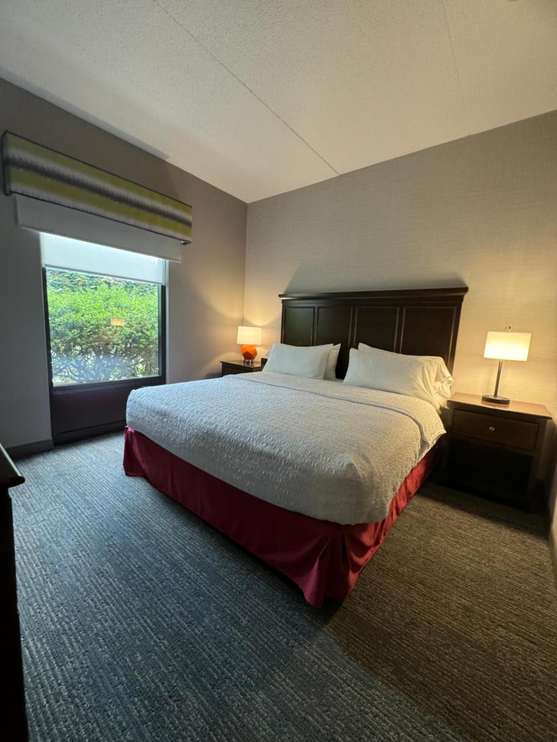 Hampton Inn New Bedford/Fairhaven photo 31