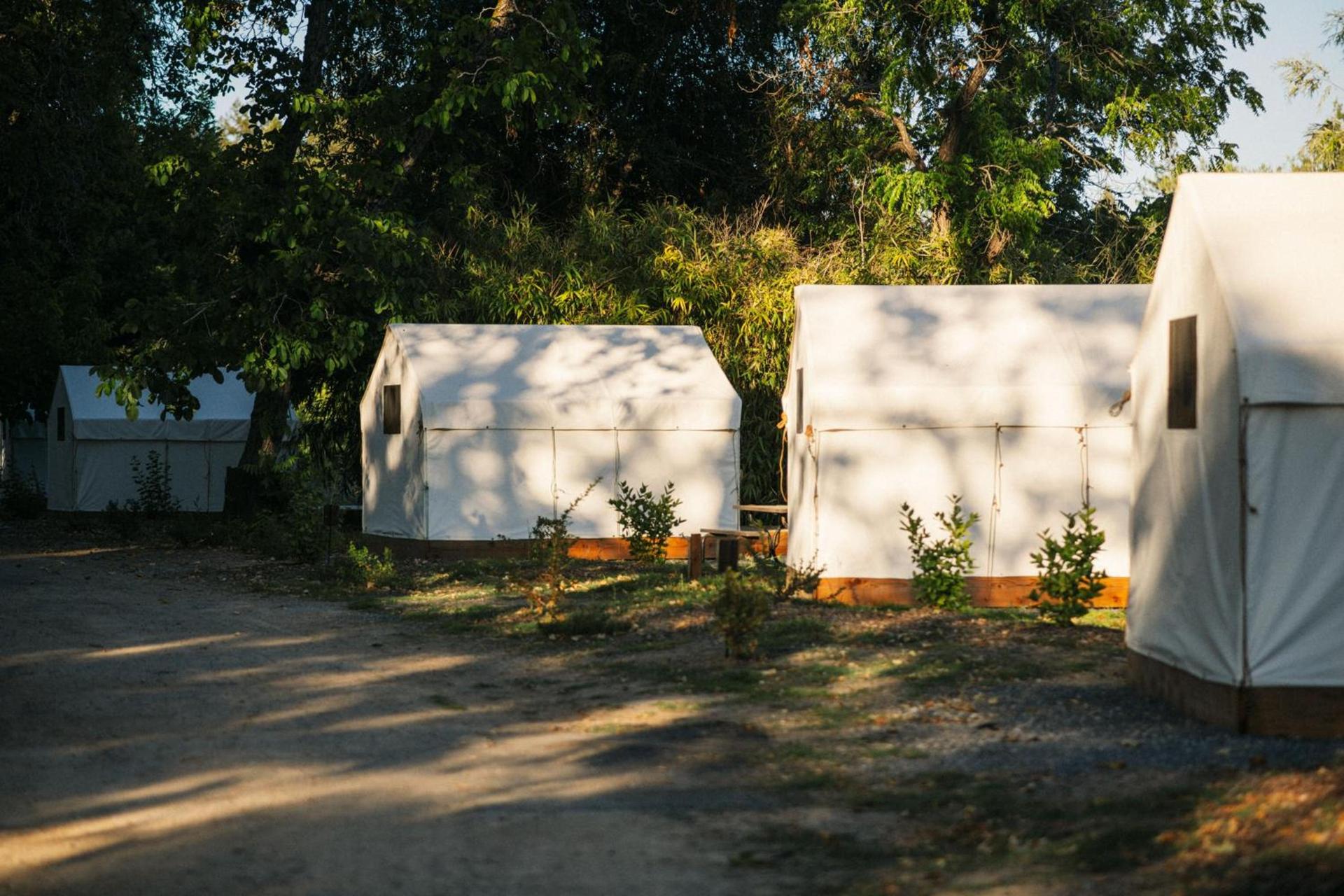 Johnson's Beach Cabins and Campground photo 6