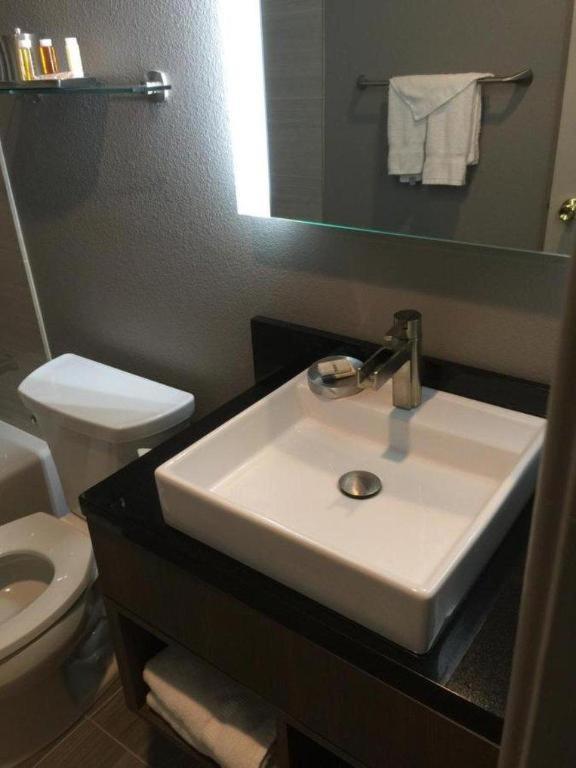 Arden Star Hotel photo 59