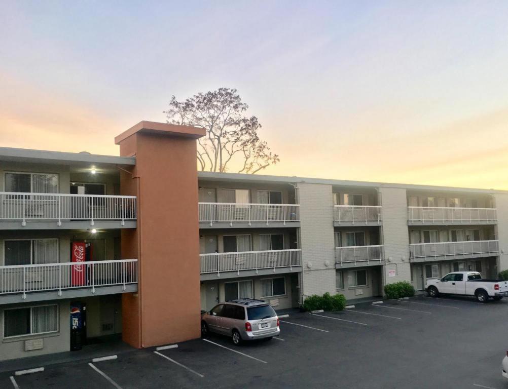 Pacific Motor Inn photo 4