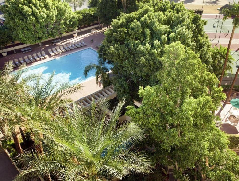 Sheraton Crescent Hotel photo 18