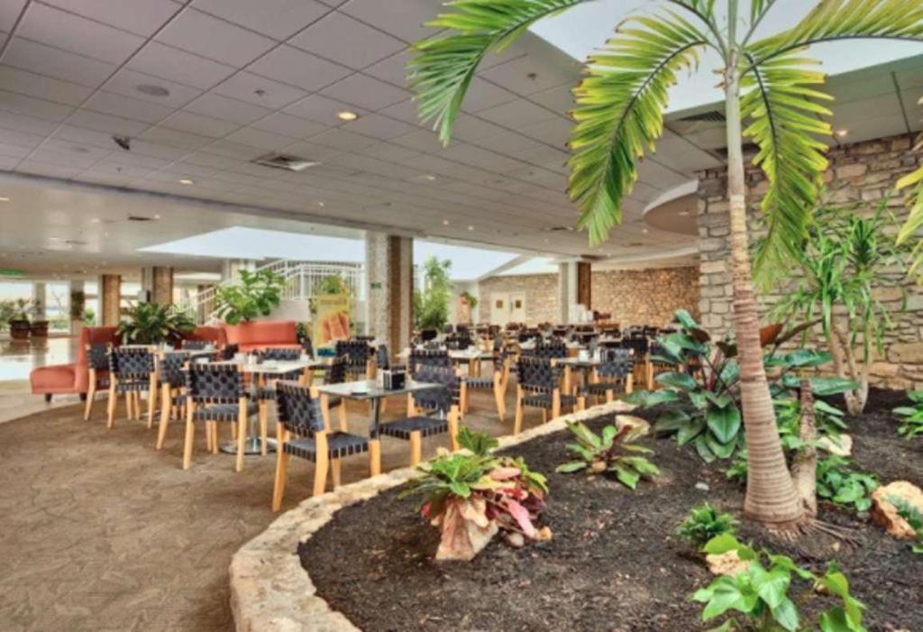 El Tropicano Riverwalk photo 19