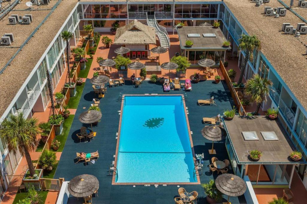 El Tropicano Riverwalk photo 18