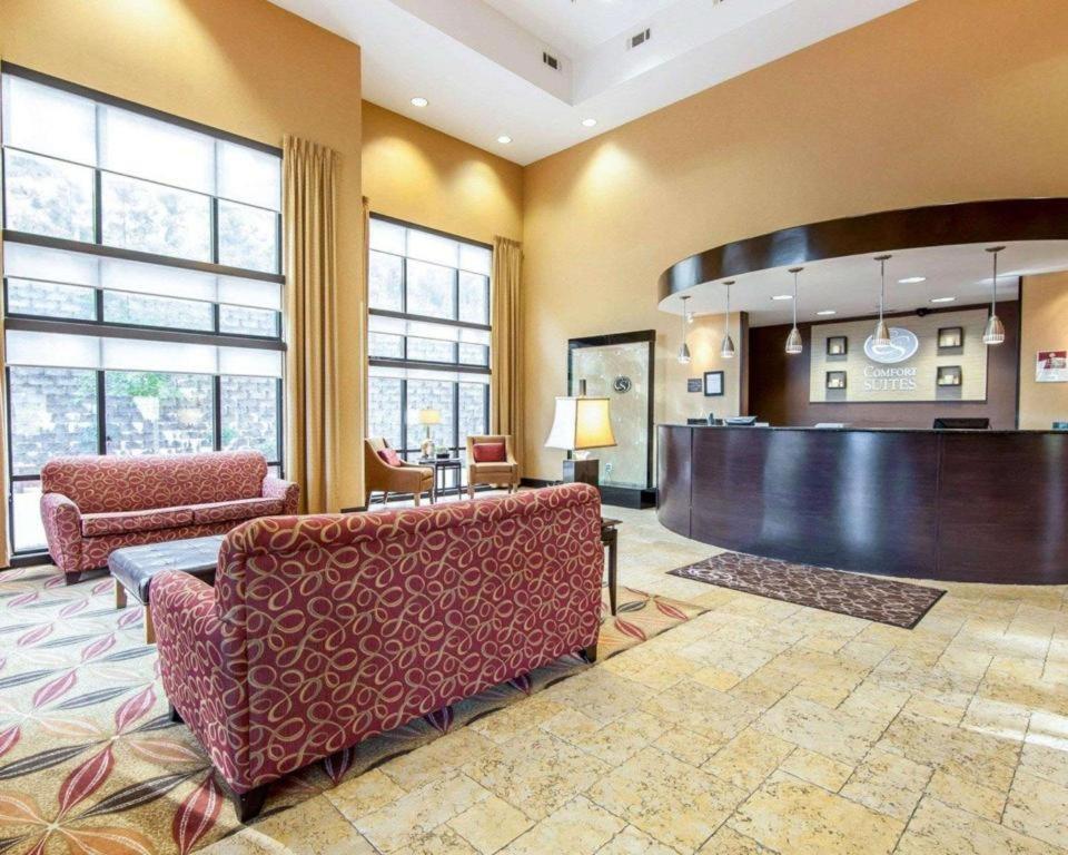Comfort Suites photo 3