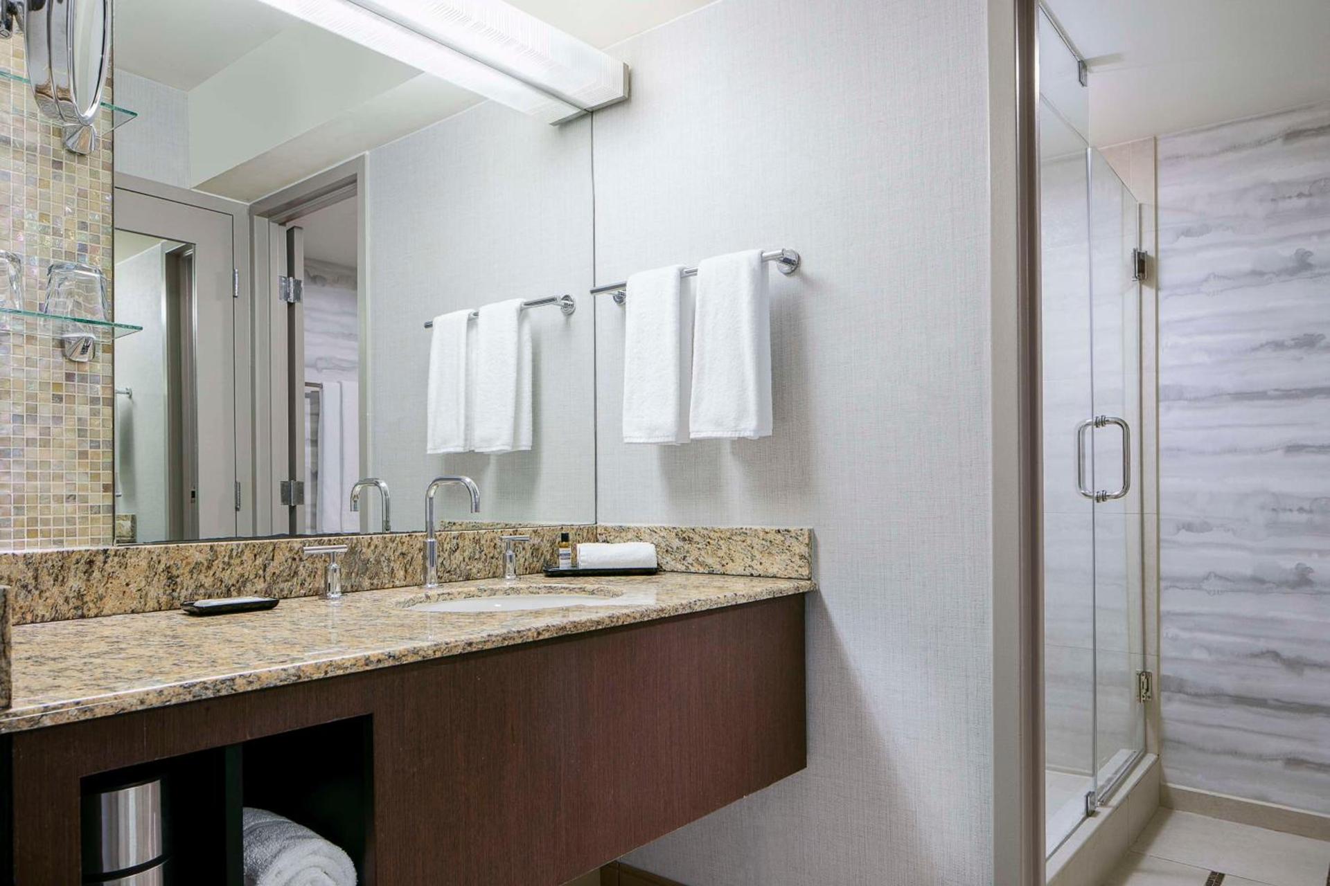 Hyatt Regency DFW International Airport photo 11