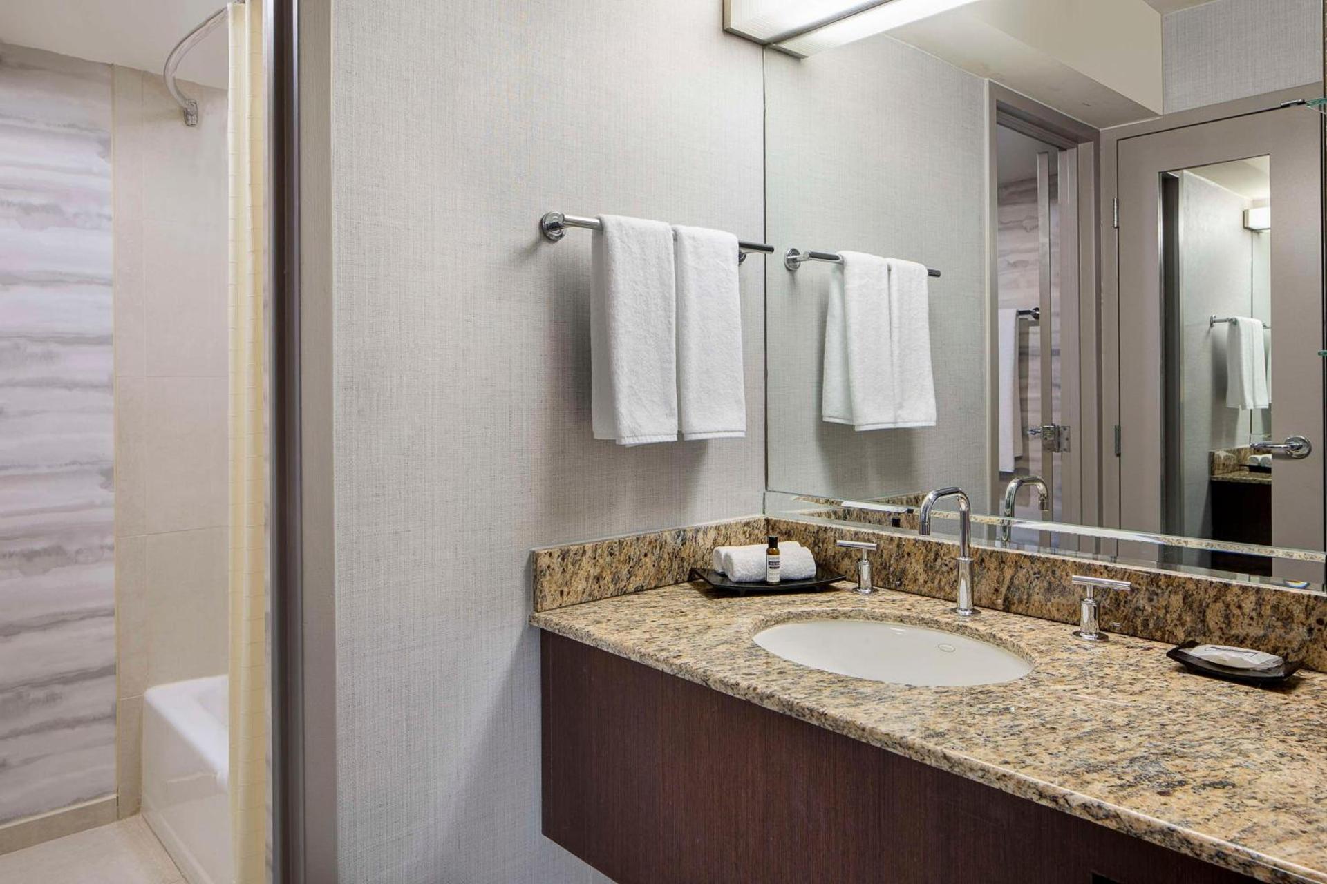 Hyatt Regency DFW International Airport photo 12