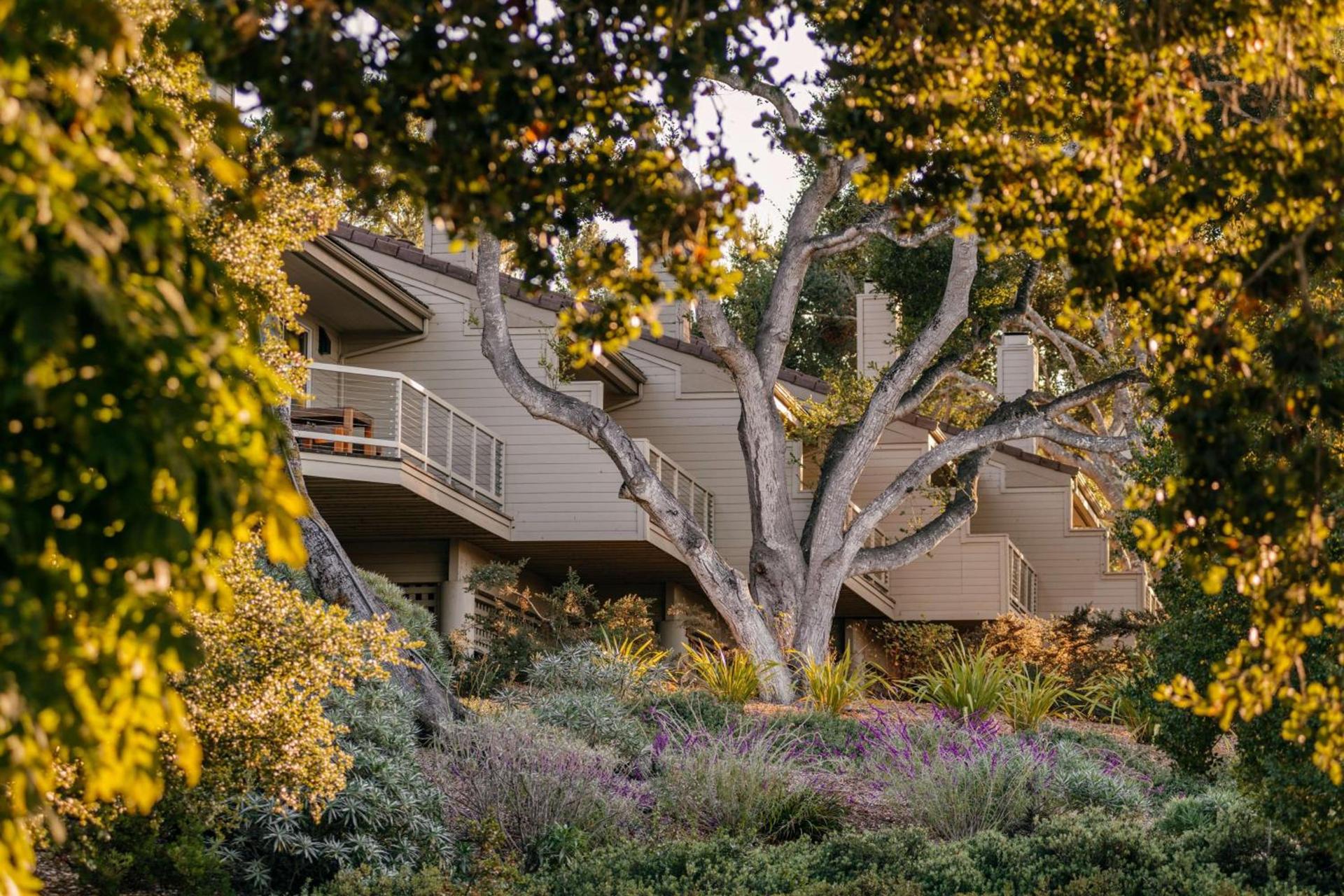 Carmel Valley Ranch, in The Unbound Collection by Hyatt photo 4