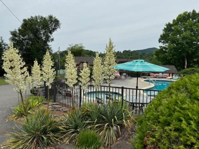Highland Manor Inn photo 39