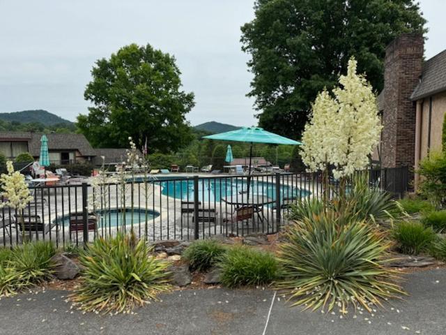Highland Manor Inn photo 40