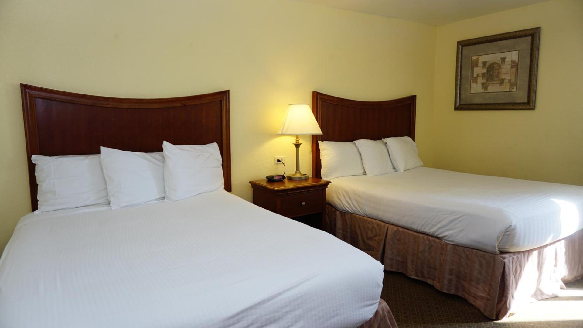 Baymont by Wyndham Arlington At Six Flags Dr photo 27