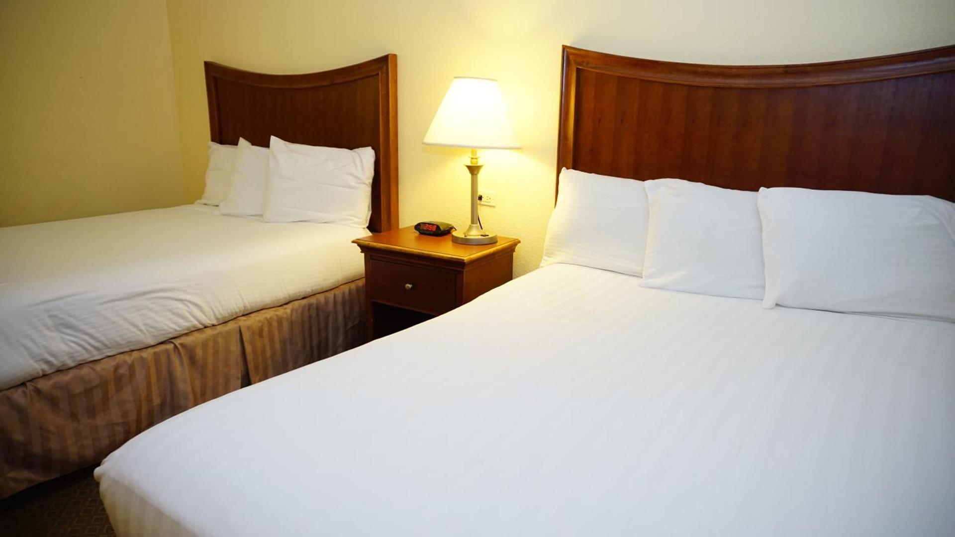 Baymont by Wyndham Arlington At Six Flags Dr photo 28