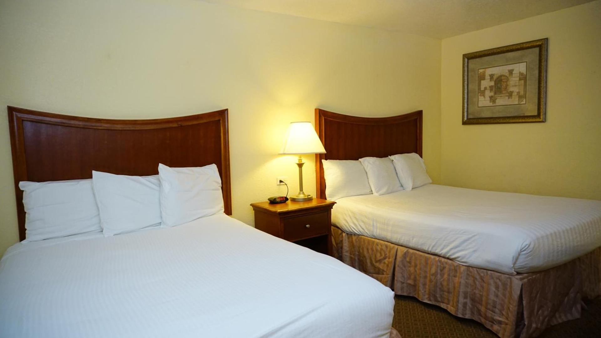 Baymont by Wyndham Arlington At Six Flags Dr photo 11