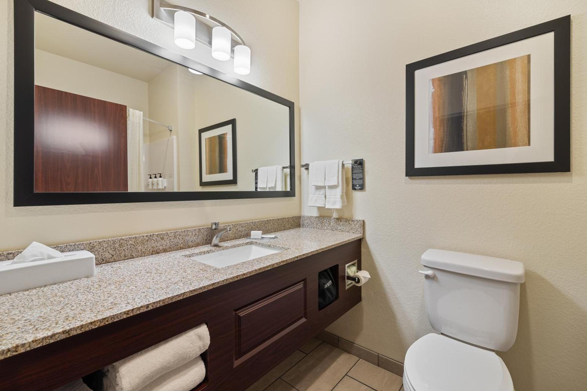 Cobblestone Hotel & Suites - Alpine photo 31