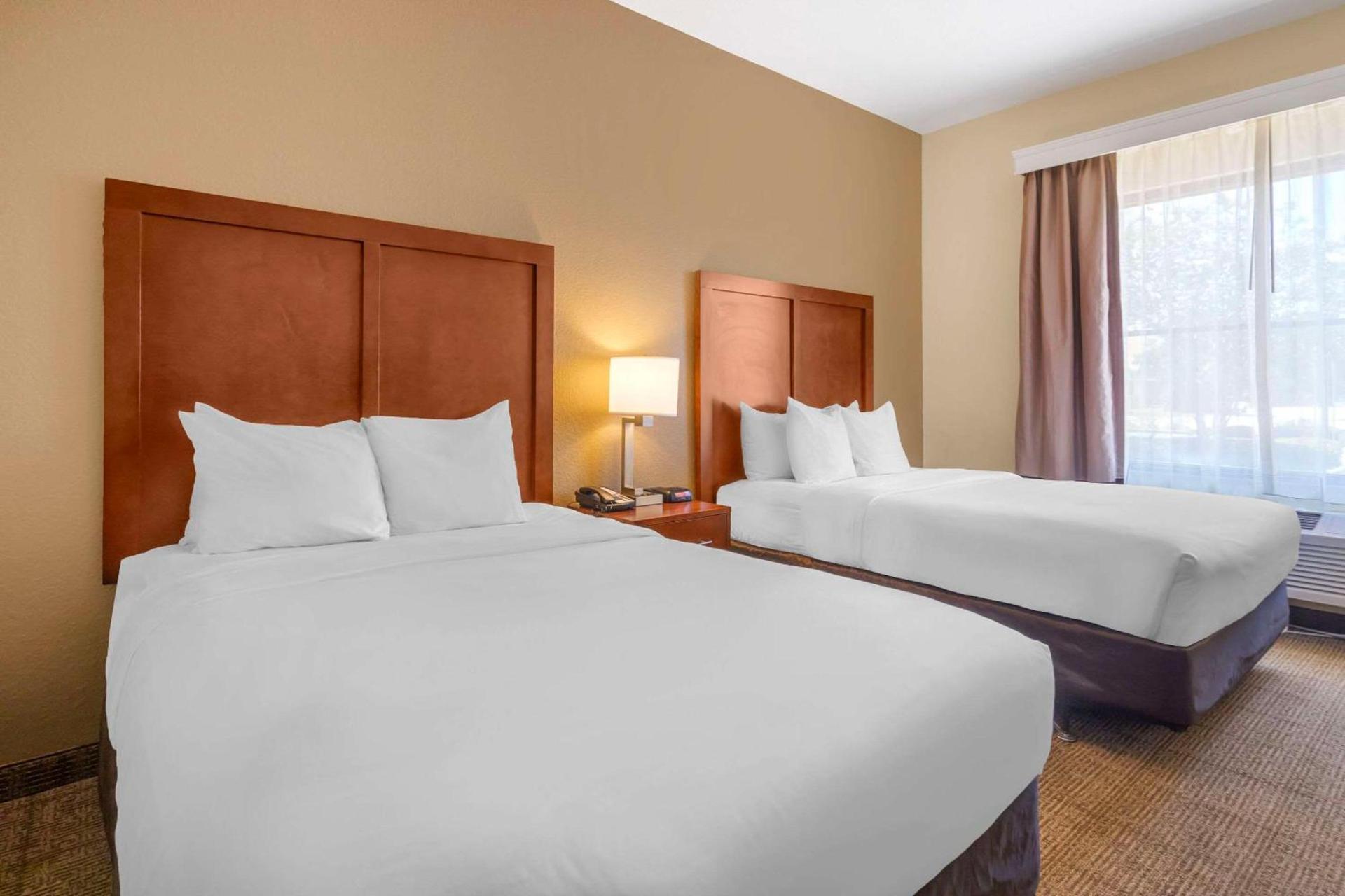 Comfort Inn & Suites Northeast - Gateway photo 8