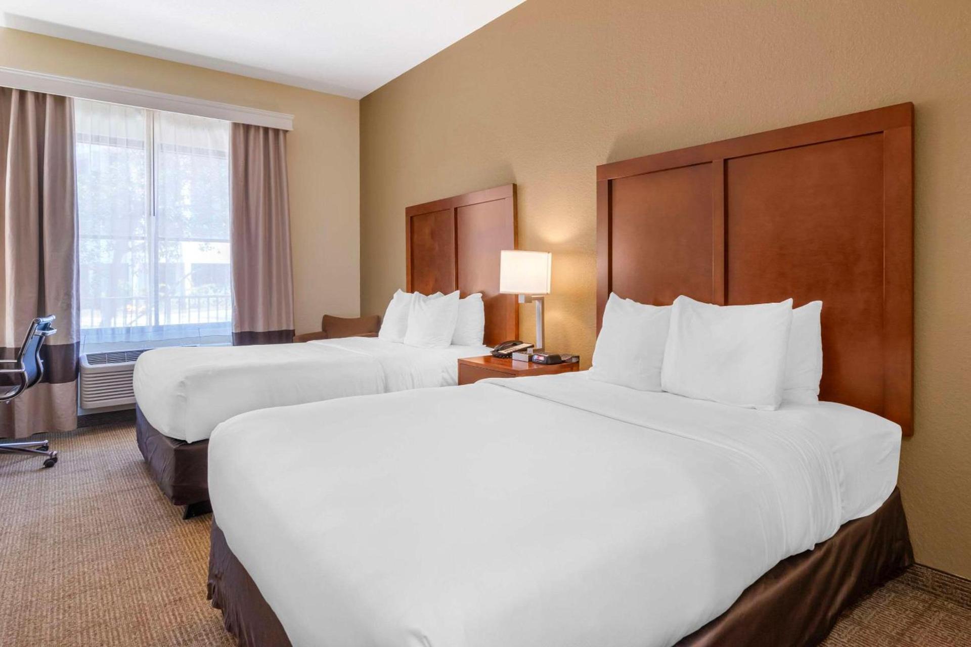 Comfort Inn & Suites Northeast - Gateway photo 19